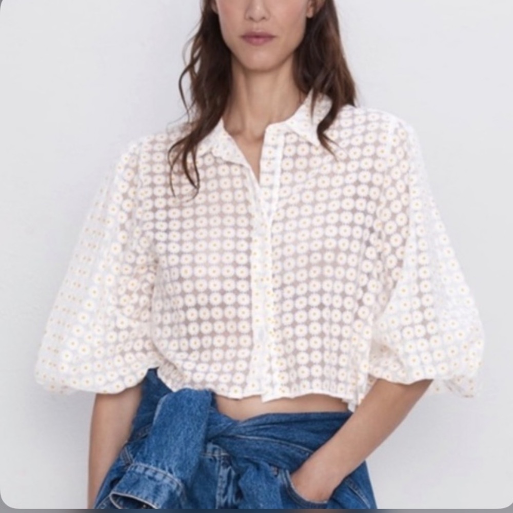 Zara sheer daisy print button down blouse